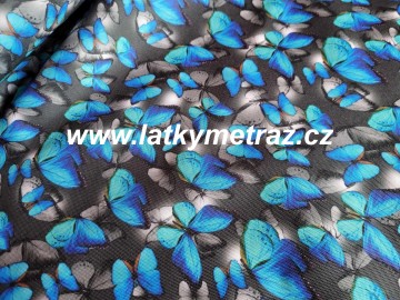 kočárkovina-modrý motýl